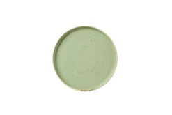 Assiette à bord droit rond Sage Green porcelaine vitrifiée Ø 21 cm Stonecast Sage - CHURCHILL Clearance