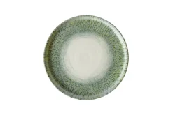 DUDSON Assiette à bord droit vert porcelaine vitrifiée Ø 21 cm Butterfly Clearance