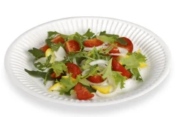 Assiette carton blanc Ø 17,5 cm (100 pièces) - ALPHAFORM New