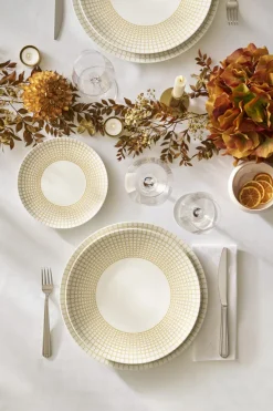 Assiette coupe creuse rond blanc porcelaine Ø 24 cm  Couronne - DEGRENNE Discount