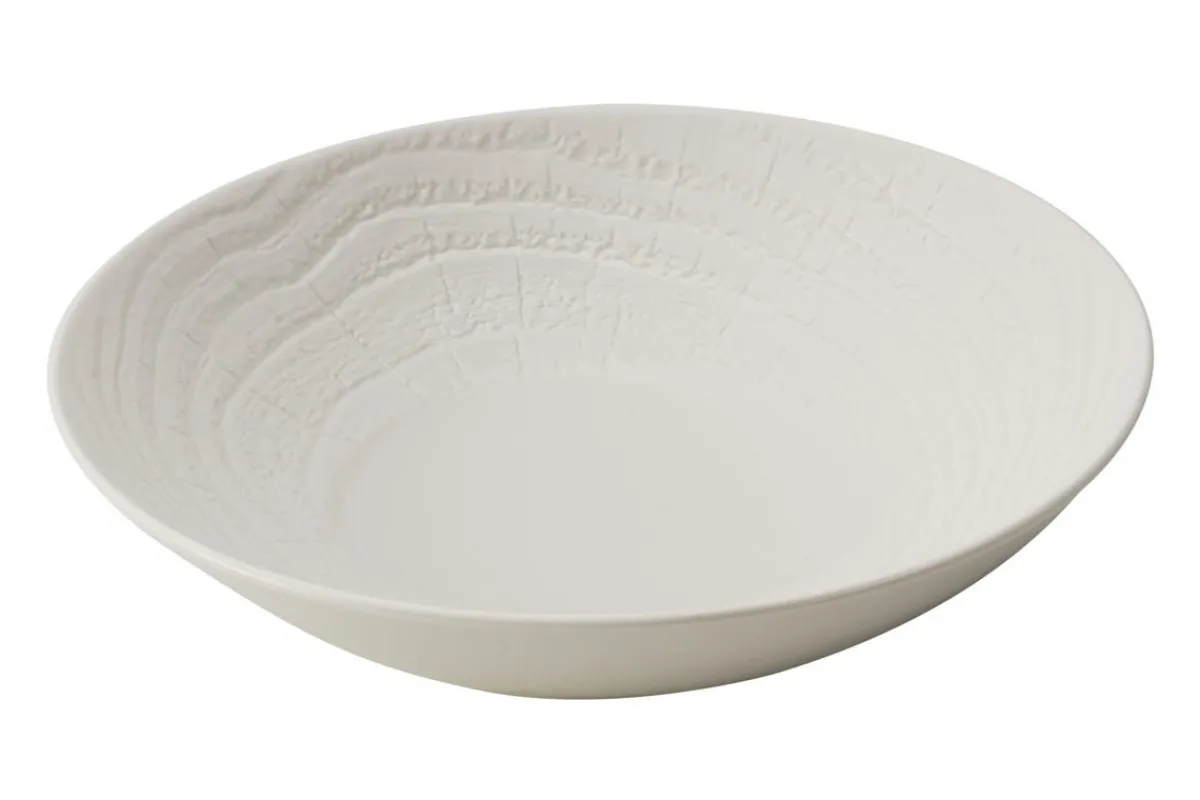 REVOL Assiette coupe creuse rond ivoire porcelaine culinaire Ø 27 cm Arborescence Hot