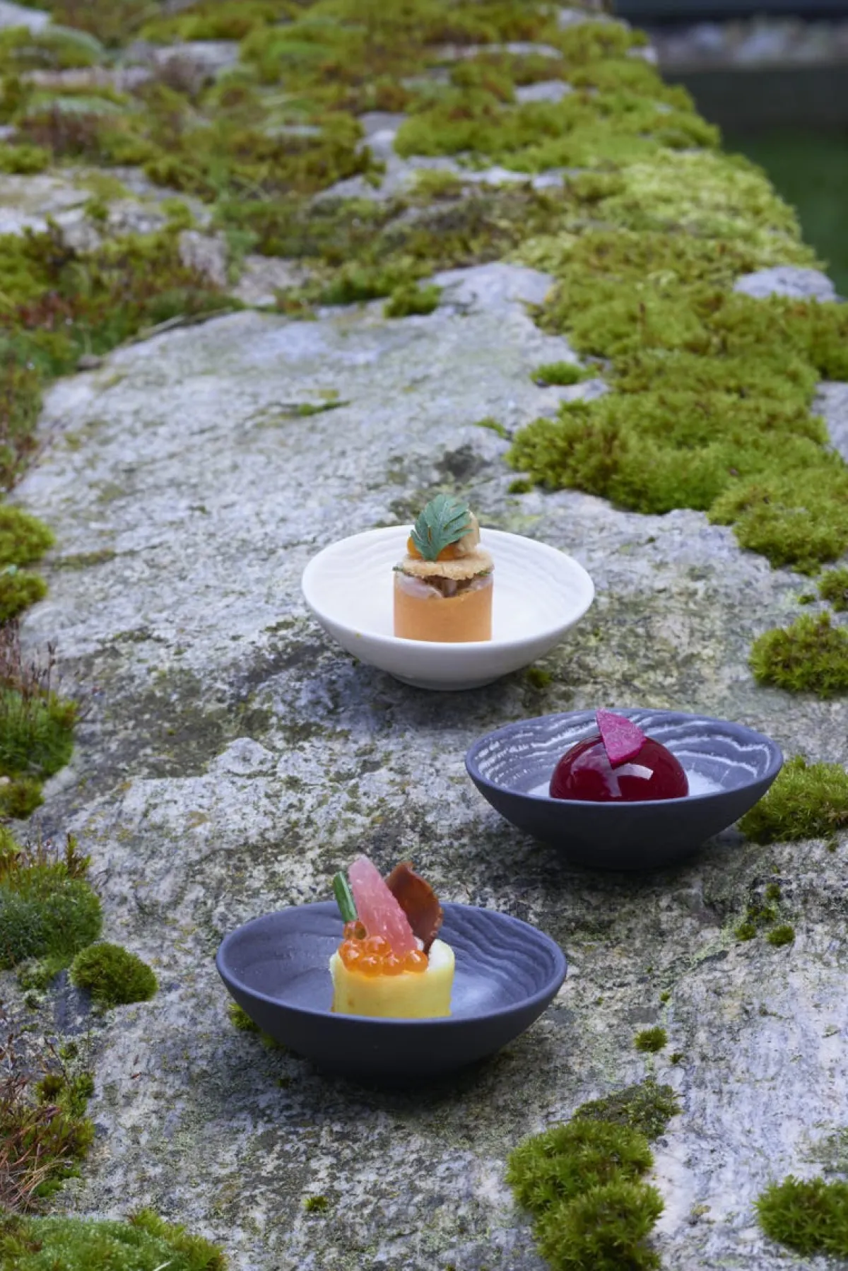 Assiette coupe creuse rond ivoire porcelaine culinaire Ø 19 cm Arborescence - REVOL Discount