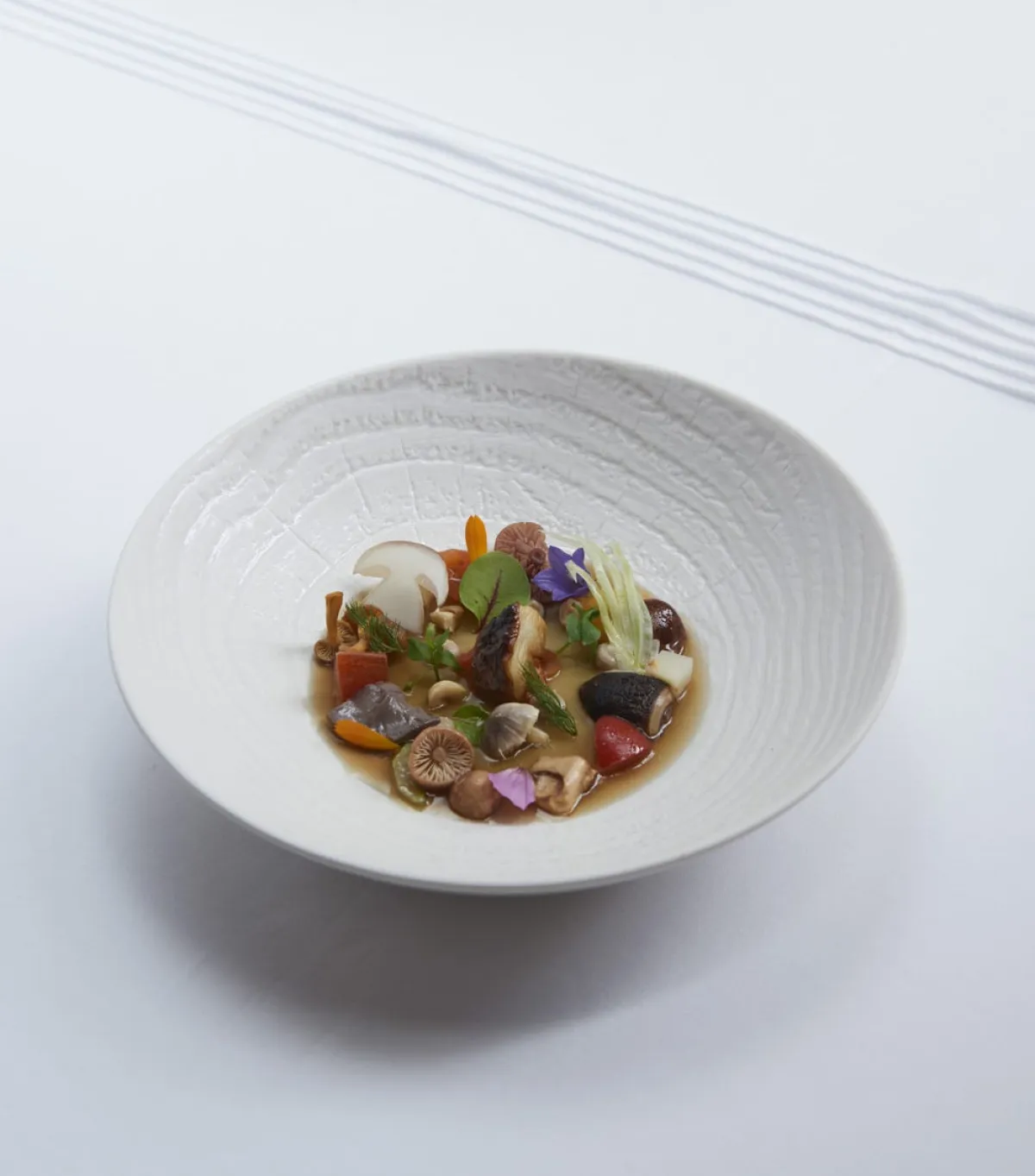 REVOL Assiette coupe creuse rond ivoire porcelaine culinaire Ø 24,2 cm Arborescence Discount