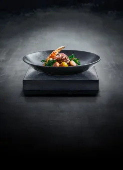 Assiette coupe creuse rond noir porcelaine vitrifiée Ø 27,8 cm Karbon - RAK Online