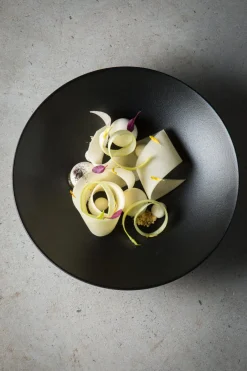 REVOL Assiette coupe creuse rond noir porcelaine culinaire Ø 24 cm Equinoxe Online