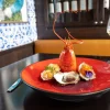 RAK Assiette coupe creuse rond orange porcelaine vitrifiée Ø 27,8 cm Fire Hot
