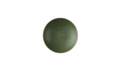 CHURCHILL Assiette coupe creuse rond Sorrel Green porcelaine vitrifiée Ø 18,2 cm Stonecast Sorrel Best