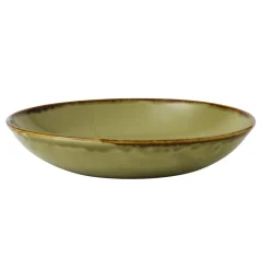 DUDSON Assiette coupe creuse rond vert porcelaine vitrifiée Ø 24,8 cm Harvest Best