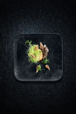 Assiette coupe plate carré noir porcelaine vitrifiée 11x11 cm Karbon - RAK New