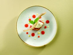 Assiette coupe plate rond barley white porcelaine vitrifiée Ø 21,7 cm Stonecast Barley - CHURCHILL Outlet