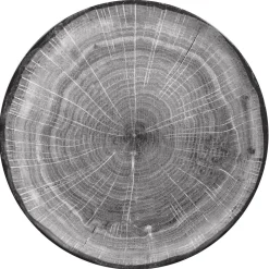 RAK Assiette coupe plate rond beech porcelaine vitrifiée Ø 29,3 cm Woodart Sale