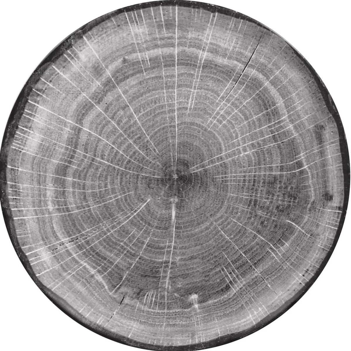 Assiette coupe plate rond beech porcelaine vitrifiée Ø 20,9 cm Woodart - RAK Sale