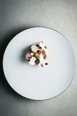 REVOL Assiette coupe plate rond blanc porcelaine culinaire Ø 26 cm Equinoxe Online