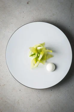 REVOL Assiette coupe plate rond blanc porcelaine culinaire Ø 26 cm Equinoxe Online