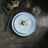PILLIVUYT Assiette coupe plate rond blanc porcelaine culinaire Ø 21 cm Teck