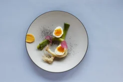 REVOL Assiette coupe plate rond bleu porcelaine culinaire Ø 16 cm Equinoxe Online