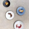 REVOL Assiette coupe plate rond gris porcelaine culinaire Ø 21,5 cm Equinoxe Outlet
