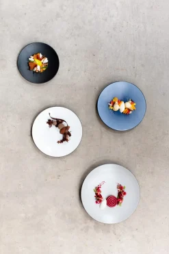 REVOL Assiette coupe plate rond gris porcelaine culinaire Ø 21,5 cm Equinoxe Outlet