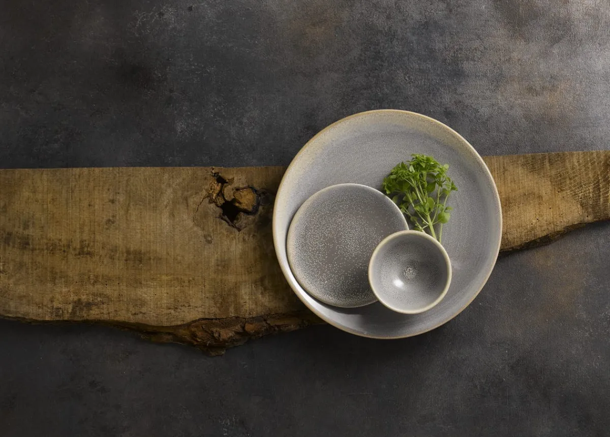 Assiette coupe plate rond gris porcelaine Ø 23 cm Evo Granite - DUDSON Discount