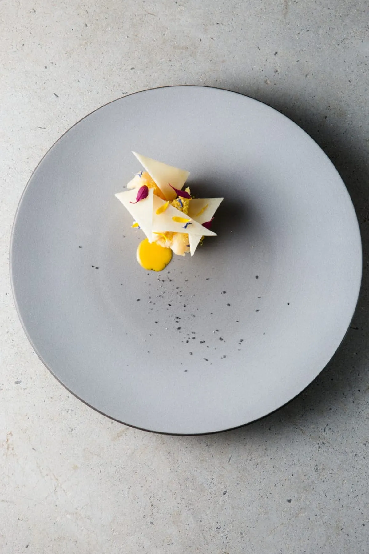 Assiette coupe plate rond gris porcelaine culinaire Ø 28 cm Equinoxe - REVOL Online