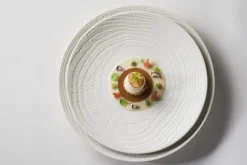 Assiette coupe plate rond ivoire porcelaine culinaire Ø 31 cm Arborescence - REVOL New