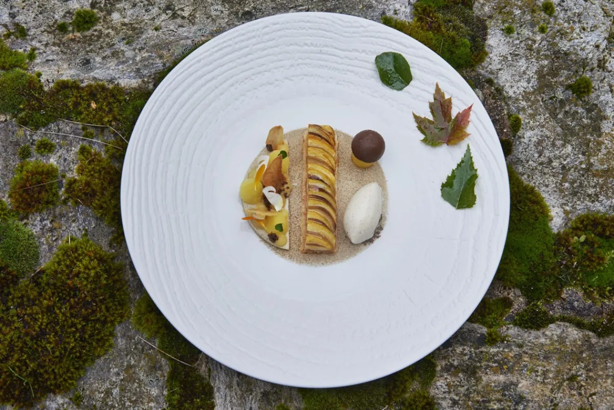 REVOL Assiette coupe plate rond ivoire porcelaine culinaire Ø 21,5 cm Arborescence Best