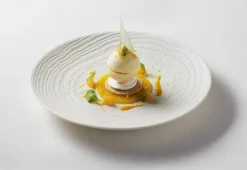 REVOL Assiette coupe plate rond ivoire porcelaine culinaire Ø 21,5 cm Arborescence Best