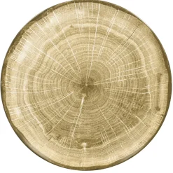 Assiette coupe plate rond moss porcelaine vitrifiée Ø 24 cm Woodart - RAK Clearance