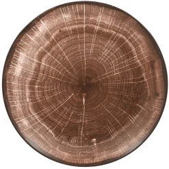 Assiette coupe plate rond oak porcelaine vitrifiée Ø 24 cm Woodart - RAK Discount