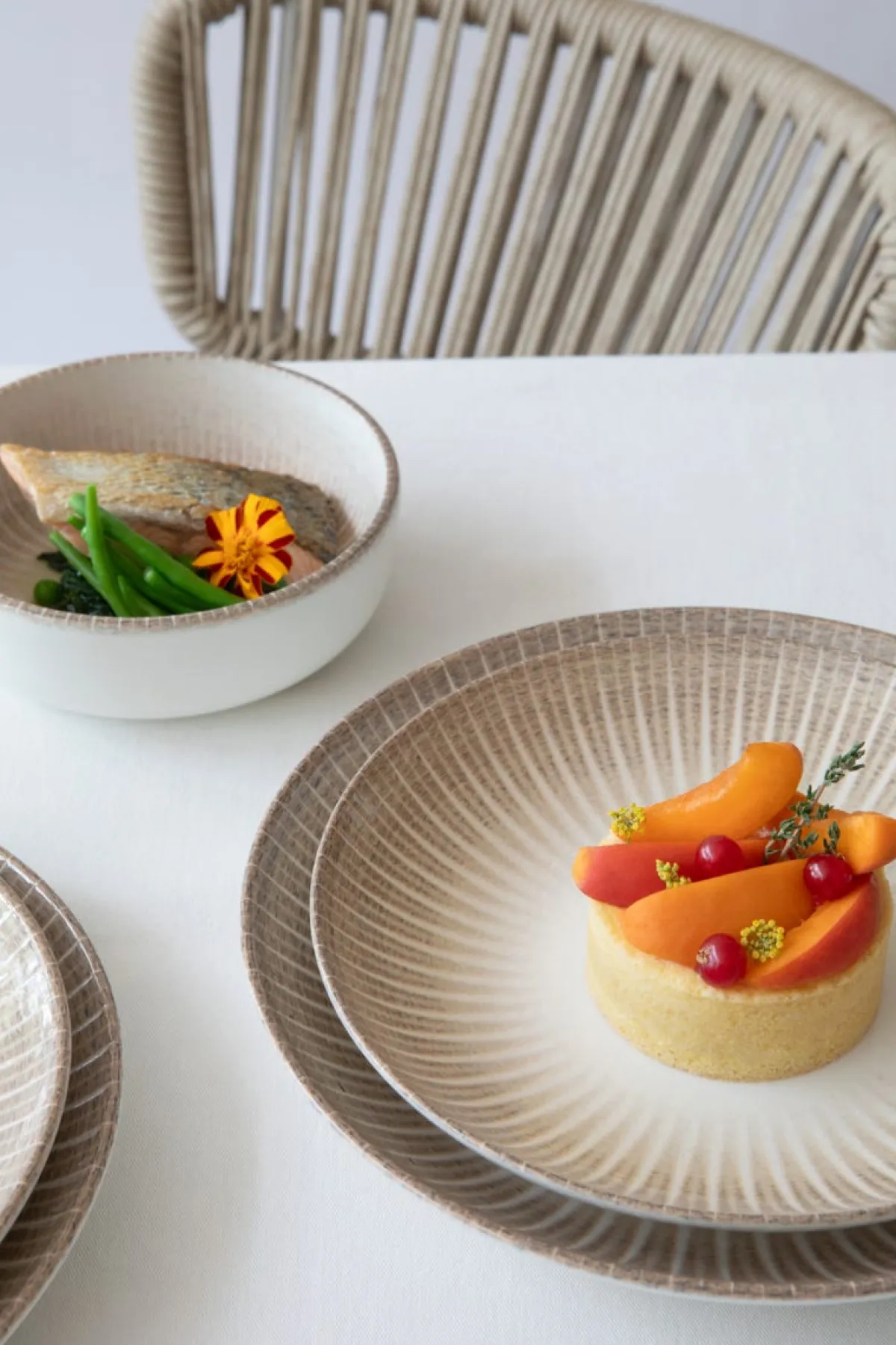 ACCOLADE Assiette coupe plate rond porcelaine Ø 21 cm Palma New