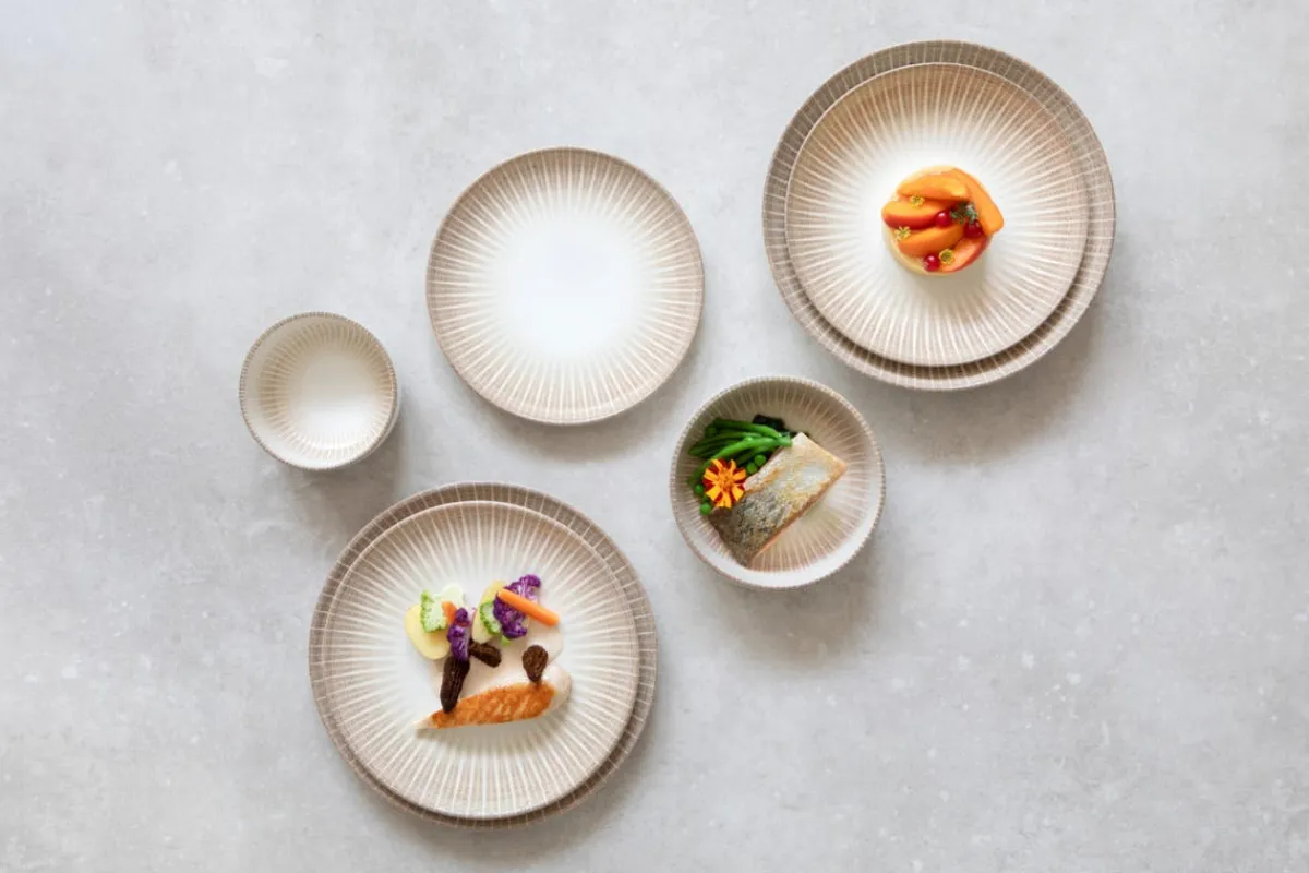 ACCOLADE Assiette coupe plate rond porcelaine Ø 24 cm Palma Clearance