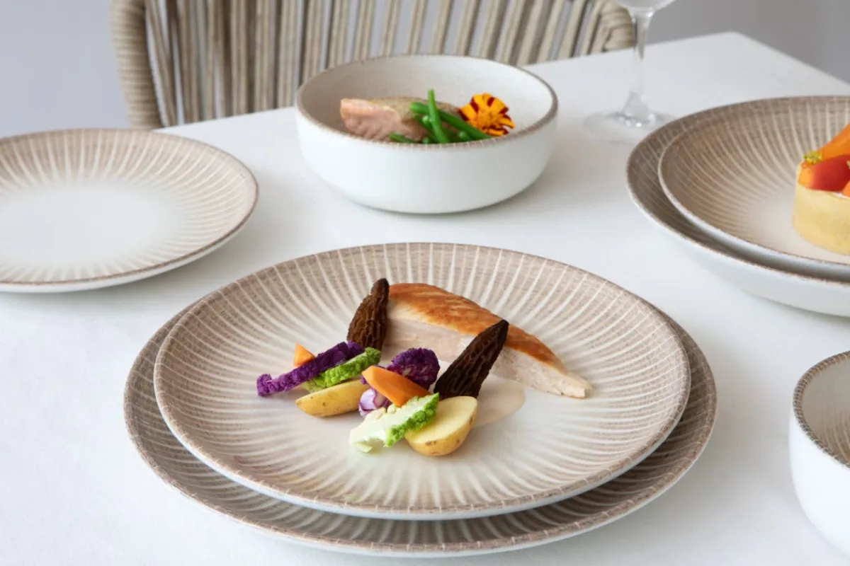 ACCOLADE Assiette coupe plate rond porcelaine Ø 24 cm Palma Clearance