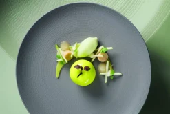 DEGRENNE Assiette coupe plate rond taupe grès émaillé Ø 21 cm Modulo Nature Outlet