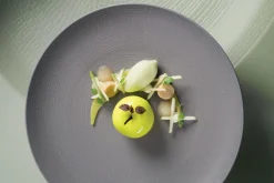 DEGRENNE Assiette coupe plate rond Terre d'ombre grès émaillé Ø 28 cm Modulo Nature Hot