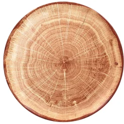 Assiette coupe plate rond timber porcelaine vitrifiée Ø 24 cm Woodart - RAK Sale