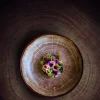 RAK Assiette coupe plate rond timber porcelaine vitrifiée Ø 15 cm Woodart Discount