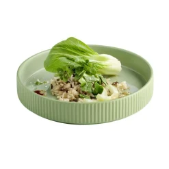 APS Assiette creuse bord droit rond vert porcelaine Ø 20 cm The Grid Online