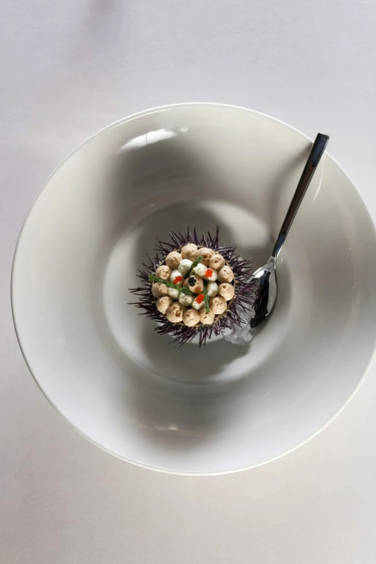 Assiette creuse gourmet rond ivoire porcelaine vitrifiée Ø 29 cm Fine Dine - RAK Clearance