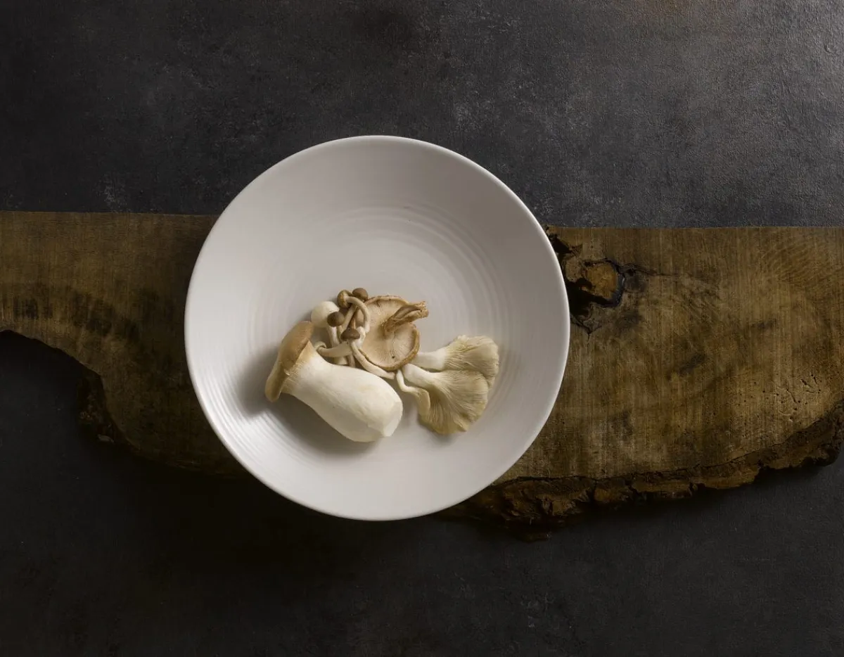 Assiette creuse ovale blanc porcelaine 21,6x16,4 cm Evo Pearl - DUDSON New