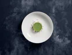 RAK Assiette creuse rond blanc porcelaine bone china Ø 28 cm Spectra Outlet