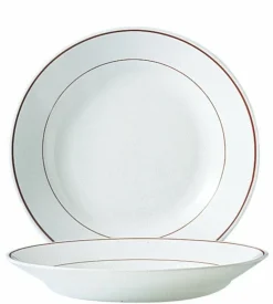 ARCOROC Assiette creuse rond blanc verre opal Ø 22,5 cm Restaurant Filet Bordeaux Hot