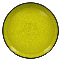 Assiette creuse rond vert porcelaine vitrifiée Ø 22,8 cm Fire - RAK New
