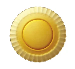 DURALEX Assiette creuse vermeil verre trempé Ø 23 cm Picardie Best
