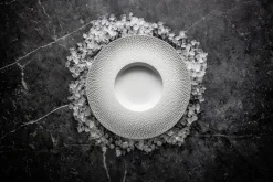 DEGRENNE Assiette à dessert rond blanc porcelaine de limoges Ø 24 cm L' Fragment Outlet