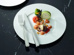 DEGRENNE Assiette à dessert rond blanc porcelaine de limoges Ø 24 cm L' Perles De Rosee Blanches New
