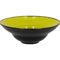 Assiette extra creuse rond vert porcelaine vitrifiée Ø 22,7 cm Fire - RAK New