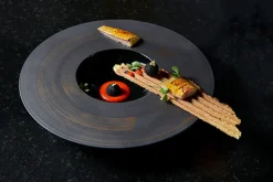 REVOL Assiette gastro creuse rond noir porcelaine culinaire Ø 30,3 cm Sphere Best