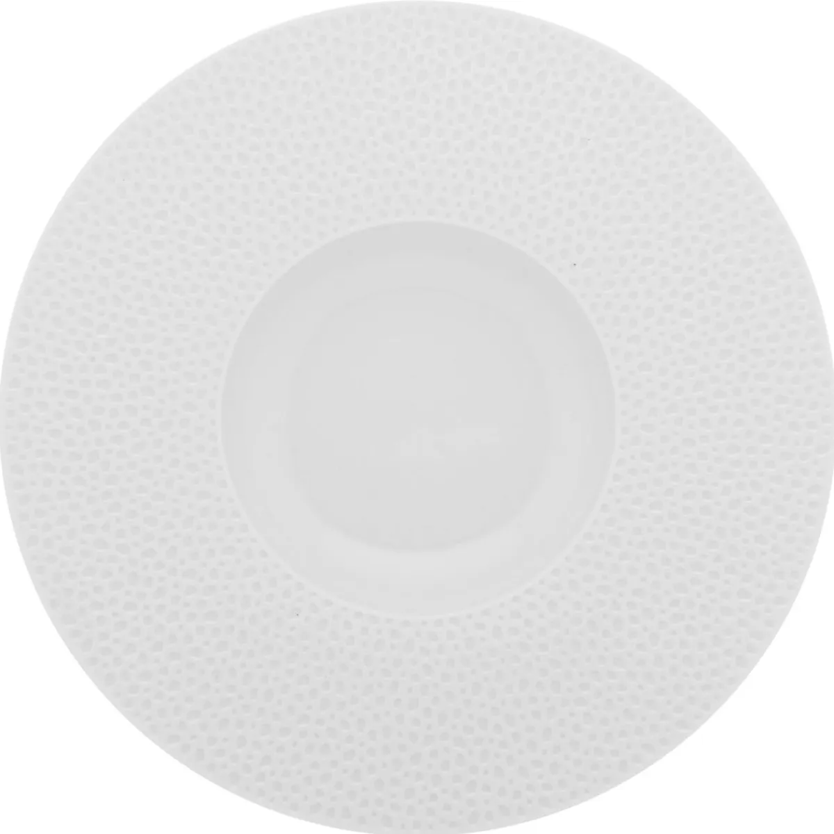 Assiette gourmet rond blanc porcelaine de limoges Ø 30 cm L' Perles De Rosee Blanches - DEGRENNE Hot