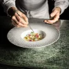 DEGRENNE Assiette gourmet rond blanc porcelaine de limoges Ø 30 cm L' Fragment Discount