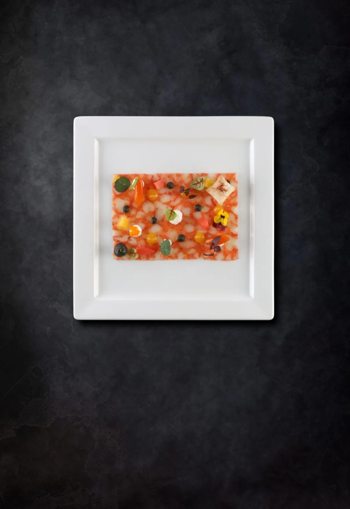Assiette plate carré blanc porcelaine vitrifiée 30x30 cm Access - RAK Sale